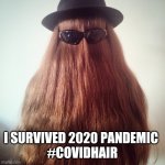 cousin it | I SURVIVED 2020 PANDEMIC 
#COVIDHAIR | image tagged in cousin it,coronavirus,covid-19,haircut,hair,hairbrush | made w/ Imgflip meme maker