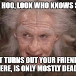Mostly Dead | WOO HOO HOO, LOOK WHO KNOWS SO MUCH! IT TURNS OUT YOUR FRIEND HERE, IS ONLY MOSTLY DEAD. | image tagged in princess bride miracle max,dead,friend,mostly dead,miracle | made w/ Imgflip meme maker