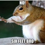 Safety of Covid | NO! SIX FEET BRO | image tagged in safety of covid | made w/ Imgflip meme maker