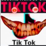 tik tok book