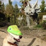 Dog in a dinosaur mask