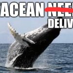 Cetacean delivered!