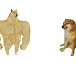 Buff Doge vs. Cheems Meme Template