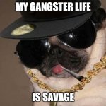 savage | MY GANGSTER LIFE; IS SAVAGE | image tagged in gangster pug | made w/ Imgflip meme maker