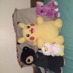 My stuffed animals