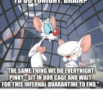 Take over the world | "WHAT ARE WE GOING TO DO TONIGHT, BRAIN?" "THE SAME THING WE DO EVERYNIGHT, PINKY - SIT IN OUR CAGE AND WAIT FOR THIS INFERNAL QUARANTINE TO | image tagged in pinky and the brain,animation,animaniacs,cartoon,quarantine | made w/ Imgflip meme maker