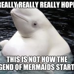 Mermaids...or not | I REALLY REALLY REALLY HOPE... THIS IS NOT HOW THE LEGEND OF MERMAIDS STARTED | image tagged in fat whale,mermaid | made w/ Imgflip meme maker