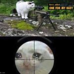 cat sniper | image tagged in cat sniper,fallout new vegas,one for my baby | made w/ Imgflip meme maker