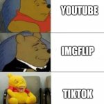 tuxedo winnie de pooh 3 panel | YOUTUBE; IMGFLIP; TIKTOK | image tagged in tuxedo winnie de pooh 3 panel | made w/ Imgflip meme maker