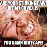 Going Ape for Corona | TAKE YOUR STINKING PAWS 
OFF MY COVID-19; YOU DAMN DIRTY APE! | image tagged in charlton heston,memes,covid-19,2020,coronavirus,ape shit | made w/ Imgflip meme maker