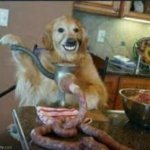 MEAT DOG | image tagged in meat dog,deepintoimgflip,cursed image,funny | made w/ Imgflip meme maker