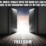 Open door | ME, WHEN I FINALLY OPEN THE DOOR SO I CAN GO DOWNSTAIRS TO GET BREAKFAST AND LET MY CAT EXPLORE MORE; “FREEDOM” | image tagged in open door | made w/ Imgflip meme maker