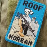 Roof Korean