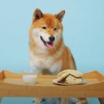 Tofu-Chan Milk and Cookies