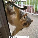 Hungry squirrel | PSST, JON... PSST, JON; THE SQUIRREL FEEDER IS EMPTY | image tagged in squirrel | made w/ Imgflip meme maker