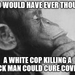 Monkey Rodin Thinker | WHO WOULD HAVE EVER THOUGHT; A WHITE COP KILLING A BLACK MAN COULD CURE COVID 19 | image tagged in monkey rodin thinker,covid-19,riots,protesters | made w/ Imgflip meme maker