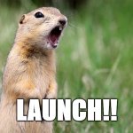 gopher launch | LAUNCH!! | image tagged in gopher | made w/ Imgflip meme maker