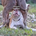 Intrusive thoughts be like | Intrusive thoughts; Me | image tagged in dog balls,ocd,intrusive thoughts,obsessive-compulsive,anxiety,mental illness | made w/ Imgflip meme maker