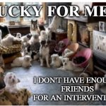Dog Party | LUCKY FOR ME... I DON'T HAVE ENOUGH 
FRIENDS
 FOR AN INTERVENTION! | image tagged in dog party | made w/ Imgflip meme maker