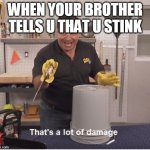 Thats alot of damage | WHEN YOUR BROTHER TELLS U THAT U STINK | image tagged in thats alot of damage | made w/ Imgflip meme maker