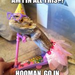 Bearded dragon birthday | WHY THE HECK AM I IN ALL THIS?! HOOMAN, GO IN THE TIMEOUT CHAIR! | image tagged in bearded dragon birthday | made w/ Imgflip meme maker