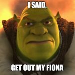 Angry Shrek | I SAID, GET OUT MY FIONA | image tagged in angry shrek | made w/ Imgflip meme maker