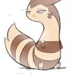 Furret visible disapointment