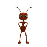 Confident Ant