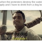 chillin in a cat | when the protesters destroy the water supply and i have to drink from a dog bowl; my dog | image tagged in first time | made w/ Imgflip meme maker
