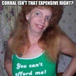 Ugly Woman | I DISAGREE WITH HER SHIRT. 
A CASE OF BEER AND A MEAL AT GOLDEN CORRAL ISN'T THAT EXPENSIVE RIGHT? | image tagged in ugly woman | made w/ Imgflip meme maker