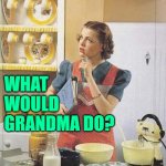 WWGD? | WHAT
WOULD
GRANDMA DO? | image tagged in vintage kitchen query,grandma,housewife,so true,funny memes,life lessons | made w/ Imgflip meme maker