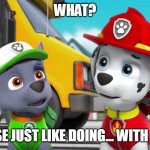 Doing it... | WHAT? CHASE JUST LIKE DOING... WITH SKYE | image tagged in paw patrol marshall and rocky | made w/ Imgflip meme maker