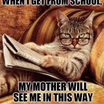 LOL | IF I ACT STRANGE WHEN I GET FROM SCHOOL, MY MOTHER WILL SEE ME IN THIS WAY | image tagged in gato cat | made w/ Imgflip meme maker