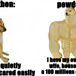 AOUH! | pewds then:; pewds now:; I have my own religion, wife, house, and over a 100 millions of of soldiers; I talk quietly and I get scared easily | image tagged in weak doge strong doge | made w/ Imgflip meme maker