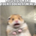 panicked hamster | WHEN YOU HEAR A NOISE AT 2 AM AND YOU'RE LOOKING AT MEMES | image tagged in paniked hamster,im scared | made w/ Imgflip meme maker