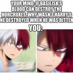Harry Potter Has Broken the 4th wall | YOUR MIND: IF BASILISK'S BLOOD CAN DESTROY THE HORCRUXES, WHY WASN'T HARRY'S ONE DESTROYED WHEN HE WAS BITTEN? YOU: | image tagged in todoroki | made w/ Imgflip meme maker