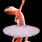 Lizard Ballet meme