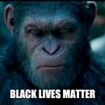 Black Lives Matter | BLACK LIVES MATTER | image tagged in black lives matter | made w/ Imgflip meme maker