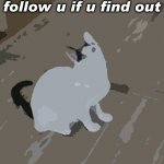 i said i would | what is this? i will follow u if u find out | image tagged in noko looking up | made w/ Imgflip meme maker