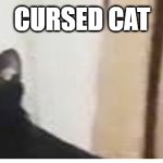 Cursed Cat | CURSED CAT | image tagged in cursed cat | made w/ Imgflip meme maker