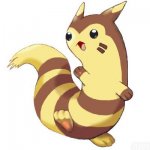 Furret wave