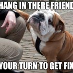 Sympathetic Bulldog | HANG IN THERE FRIEND; IT YOUR TURN TO GET FIXED | image tagged in sympathetic bulldog,lol so funny,bulldog,dog,sad | made w/ Imgflip meme maker