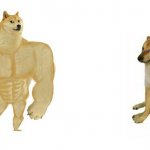 Strong doge vs weak doge