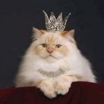 220000 points achieved | BEHOLD MY NEW CROWN | image tagged in cat crown | made w/ Imgflip meme maker
