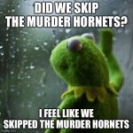 Skipped right into looting and burning | DID WE SKIP THE MURDER HORNETS? I FEEL LIKE WE SKIPPED THE MURDER HORNETS | image tagged in sometimes i wonder,murder hornet,looting,arson,covid-19,memes | made w/ Imgflip meme maker