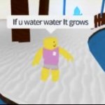 if you water water it grows meme
