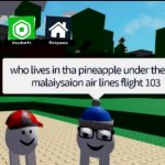 Malaysian flight 103 meme
