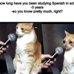 Crying Cat Interview Horizontal | -for how long have you been studying Spanish in school?
-3 years
-so you know pretty much, right? | image tagged in crying cat interview horizontal | made w/ Imgflip meme maker