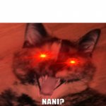Nani cat