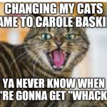 Cats, carole baskin | CHANGING MY CATS NAME TO CAROLE BASKIN.. YA NEVER KNOW WHEN YOU'RE GONNA GET "WHACKED!" | image tagged in carole baskin whacked | made w/ Imgflip meme maker